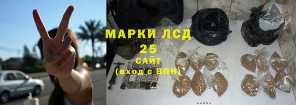 ГАЛЛЮЦИНОГЕННЫЕ ГРИБЫ Баксан