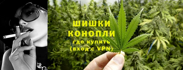 ГАЛЛЮЦИНОГЕННЫЕ ГРИБЫ Баксан