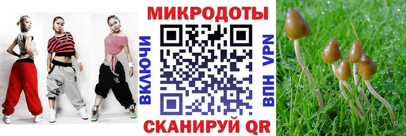 сайты даркнета телеграм  Озёры  Псилоцибиновые грибы ЛСД  цена  