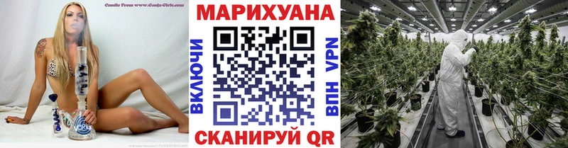 наркошоп  Озёры  Каннабис сатива 